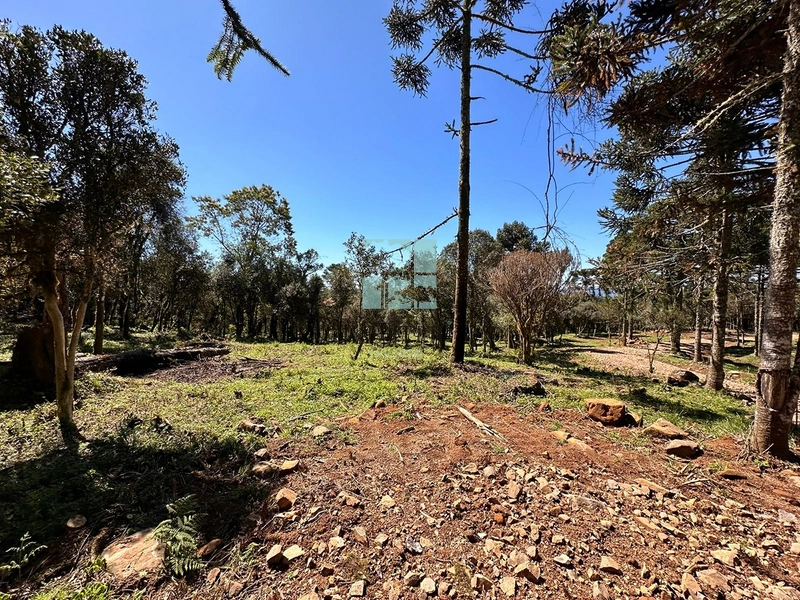 Terreno Próximo a Cascata Papuã: 11ª foto da galeria de imagens do imóvel