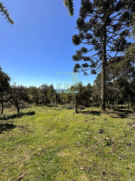 Terreno Próximo a Cascata Papuã: 5ª foto da galeria de imagens do imóvel