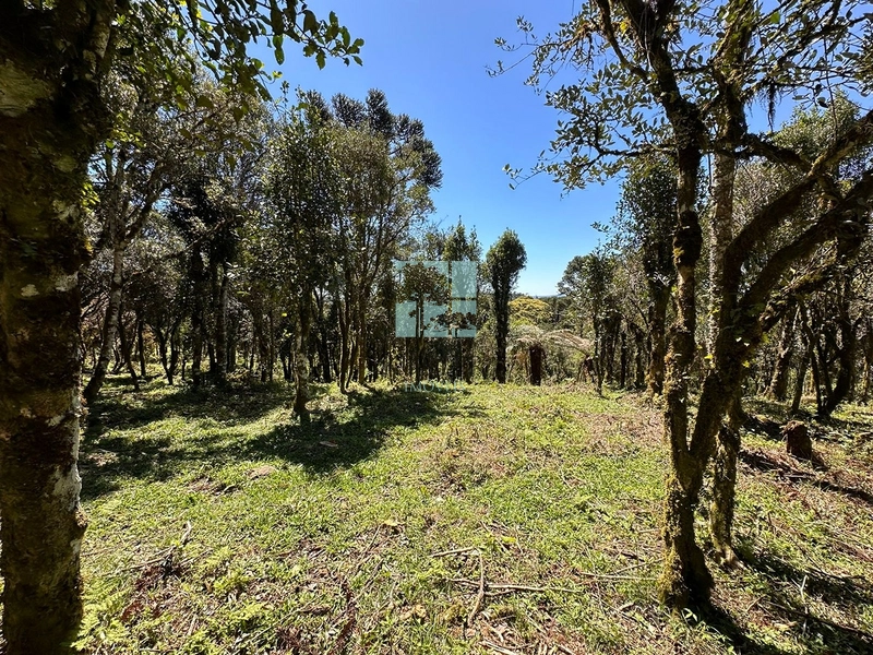 Terreno Próximo a Cascata Papuã: 7ª foto da galeria de imagens do imóvel