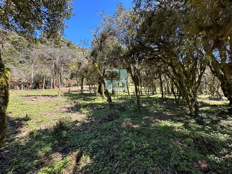 Terreno Próximo a Cascata Papuã: 2ª foto da galeria de imagens do imóvel