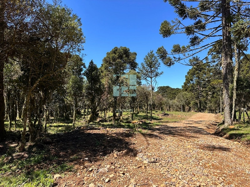 Terreno Próximo a Cascata Papuã: 9ª foto da galeria de imagens do imóvel