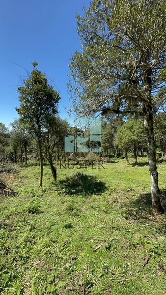 Terreno Próximo a Cascata Papuã: 3ª foto da galeria de imagens do imóvel