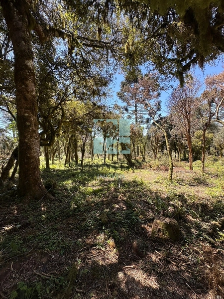 Terreno Próximo a Cascata Papuã: 6ª foto da galeria de imagens do imóvel