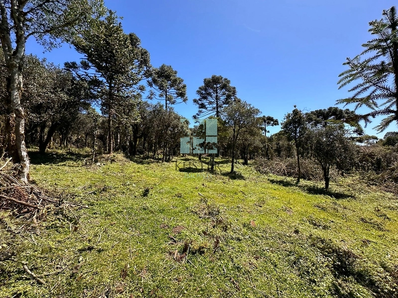 Terreno Próximo a Cascata Papuã: 8ª foto da galeria de imagens do imóvel