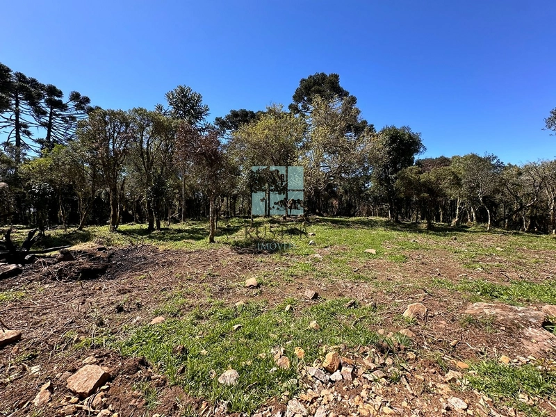 Terreno Próximo a Cascata Papuã: 10ª foto da galeria de imagens do imóvel