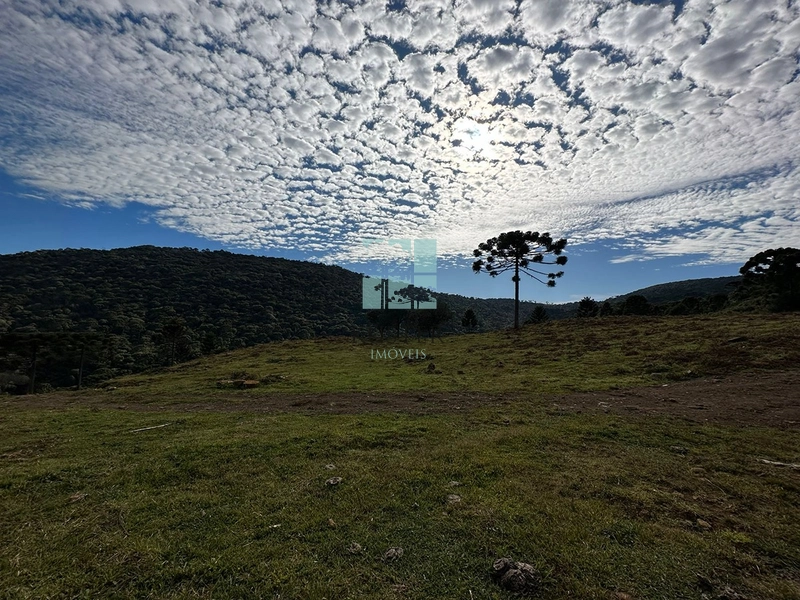 Terreno com vista privilegiada em Urubici : 1ª foto da galeria de imagens do imóvel