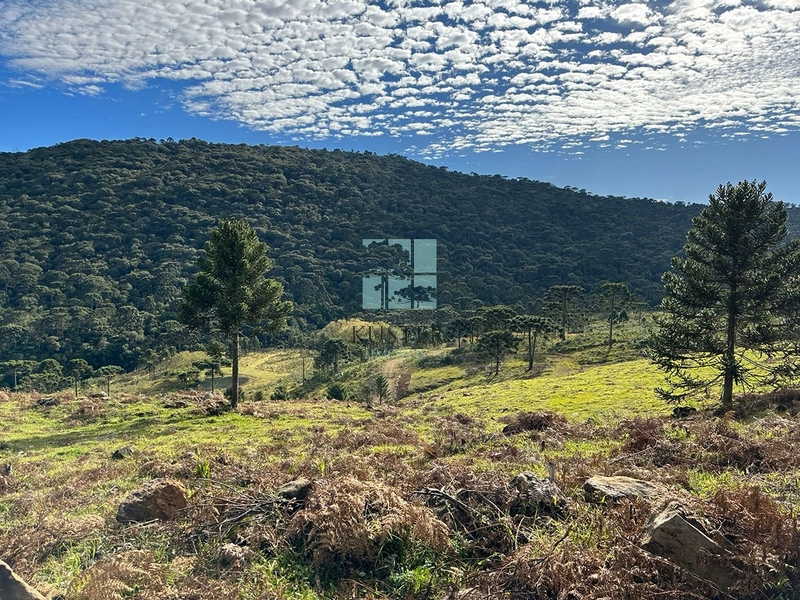 Terreno com vista privilegiada em Urubici : 9ª foto da galeria de imagens do imóvel