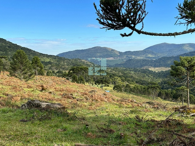 Terreno com vista privilegiada em Urubici : 2ª foto da galeria de imagens do imóvel