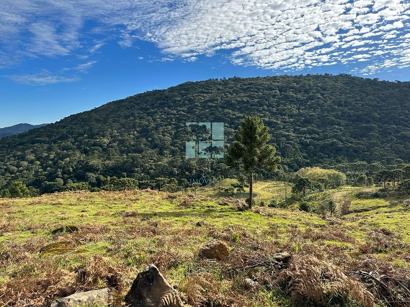 Terreno com vista privilegiada em Urubici : 3ª foto da galeria de imagens do imóvel