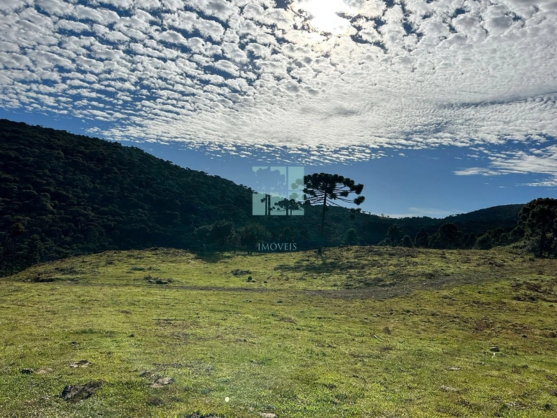 Terreno com vista privilegiada em Urubici : 4ª foto da galeria de imagens do imóvel