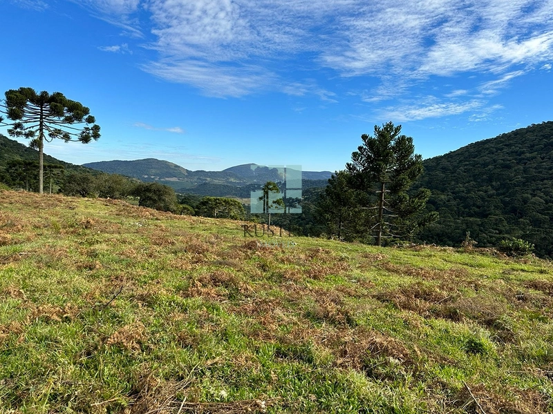 Terreno com vista privilegiada em Urubici : 5ª foto da galeria de imagens do imóvel