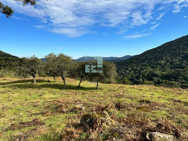 Terreno com vista privilegiada em Urubici : 7ª foto da galeria de imagens do imóvel