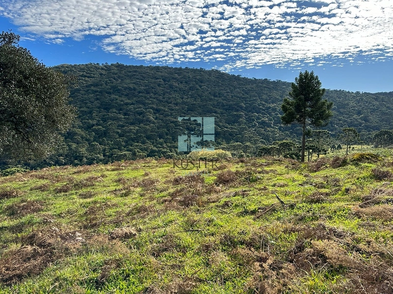 Terreno com vista privilegiada em Urubici : 8ª foto da galeria de imagens do imóvel