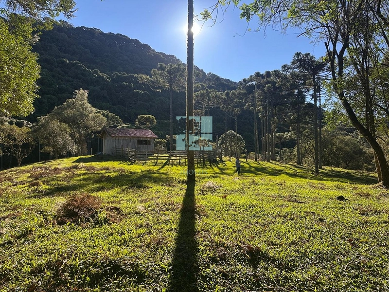 Oportunidade: 10ª foto da galeria de imagens do imóvel