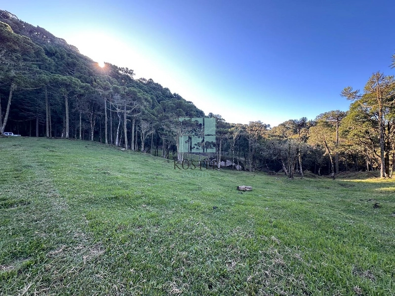 Oportunidade: 4ª foto da galeria de imagens do imóvel