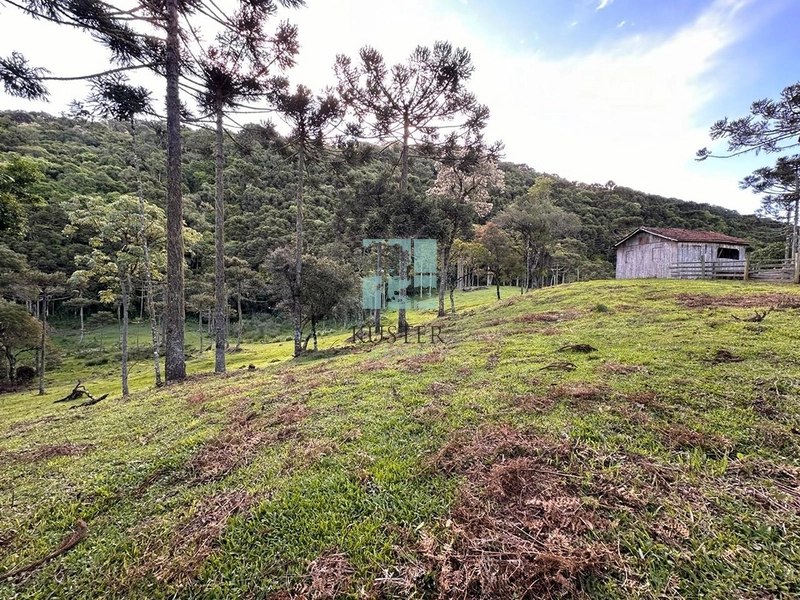 Oportunidade: 7ª foto da galeria de imagens do imóvel