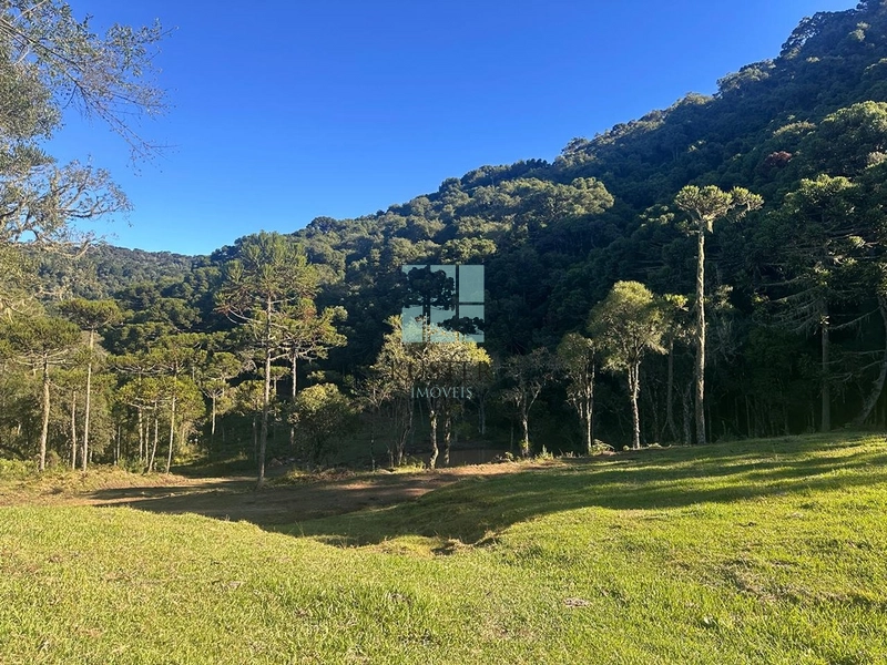 Oportunidade: 3ª foto da galeria de imagens do imóvel