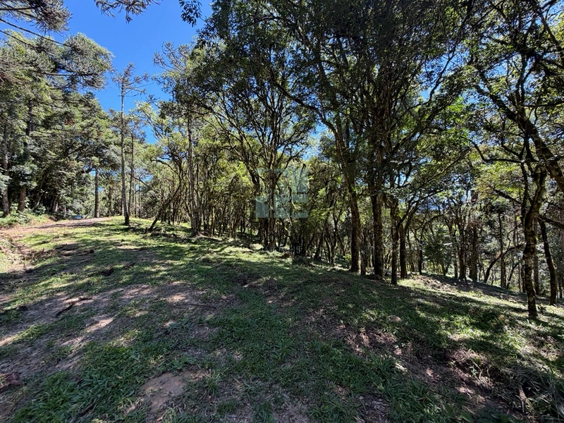Linda Área com Preço de Ocasião.: 12ª foto da galeria de imagens do imóvel