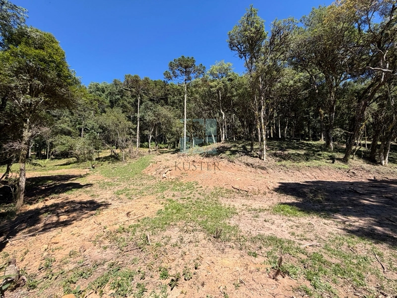 Linda Área com Preço de Ocasião.: 4ª foto da galeria de imagens do imóvel