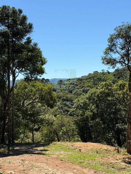 Linda Área com Preço de Ocasião.: 7ª foto da galeria de imagens do imóvel