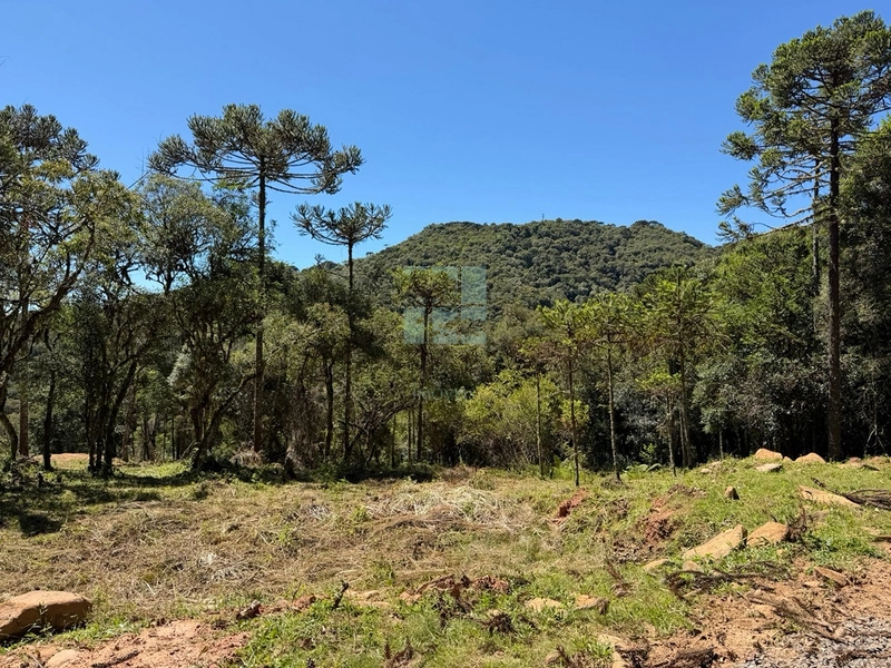 Linda Área com Preço de Ocasião.: 15ª foto da galeria de imagens do imóvel