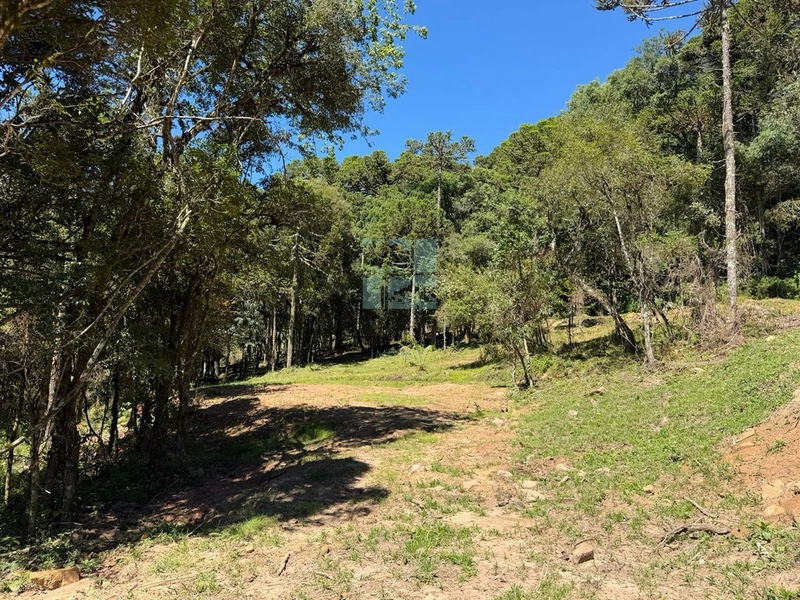 Linda Área com Preço de Ocasião.: 9ª foto da galeria de imagens do imóvel