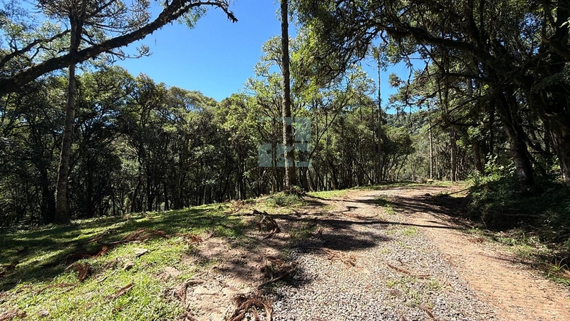Linda Área com Preço de Ocasião.: 13ª foto da galeria de imagens do imóvel
