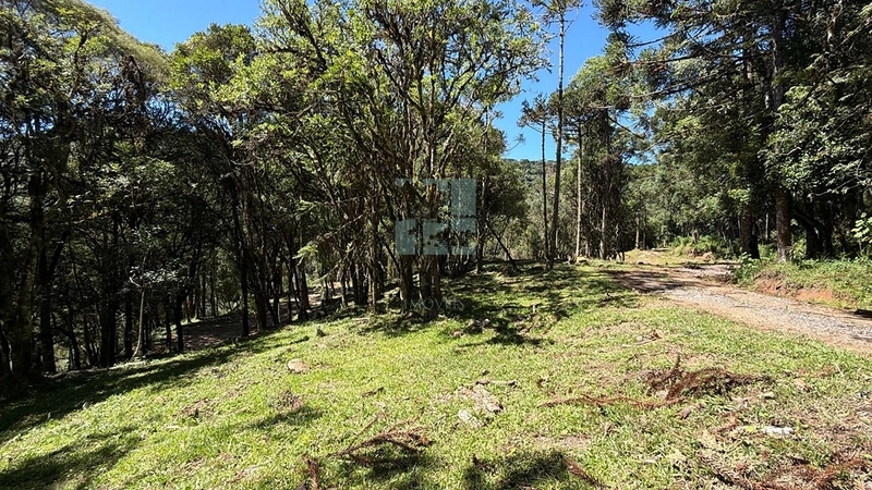 Linda Área com Preço de Ocasião.: 10ª foto da galeria de imagens do imóvel