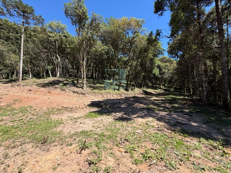 Linda Área com Preço de Ocasião.: 8ª foto da galeria de imagens do imóvel