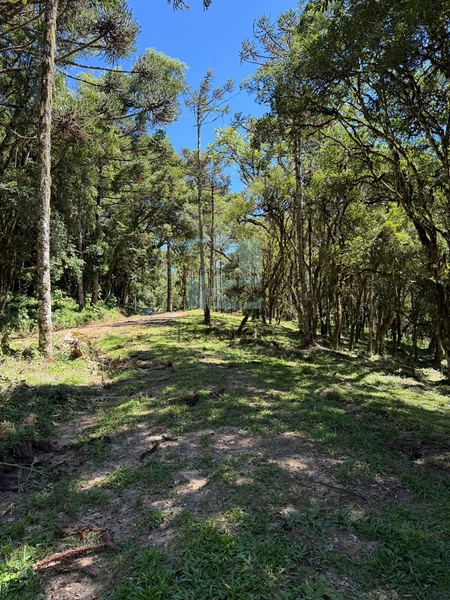 Linda Área com Preço de Ocasião.: 6ª foto da galeria de imagens do imóvel