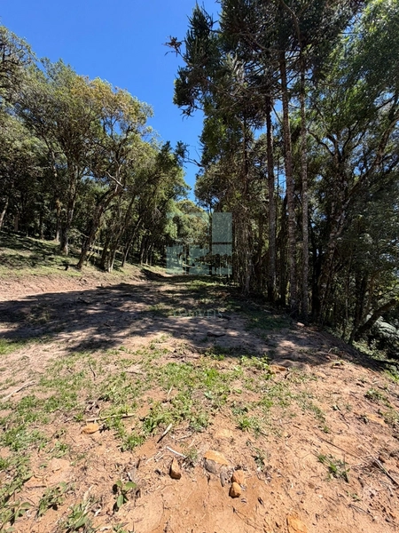 Linda Área com Preço de Ocasião.: 11ª foto da galeria de imagens do imóvel