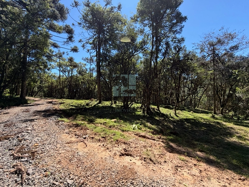 Linda Área com Preço de Ocasião.: 14ª foto da galeria de imagens do imóvel