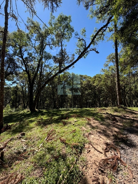 Linda Área com Preço de Ocasião.: 3ª foto da galeria de imagens do imóvel