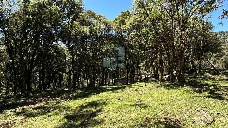 Linda Área com Preço de Ocasião.: 18ª foto da galeria de imagens do imóvel