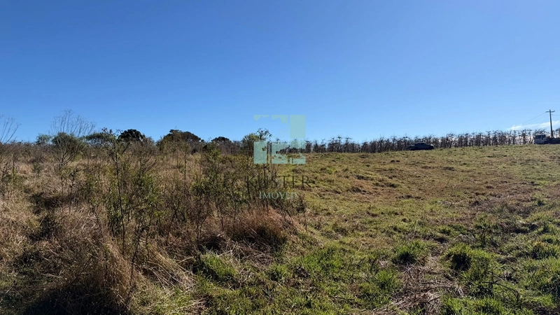 OPORTUNIDADE -TERRENO 2,9 HECTARES: 5ª foto da galeria de imagens do imóvel
