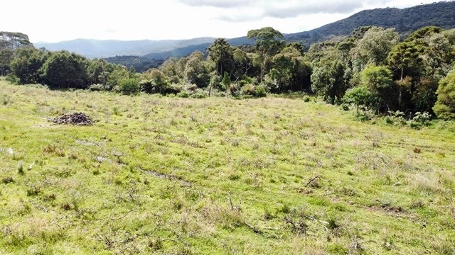 Terreno de Altitude: 12ª foto da galeria de imagens do imóvel