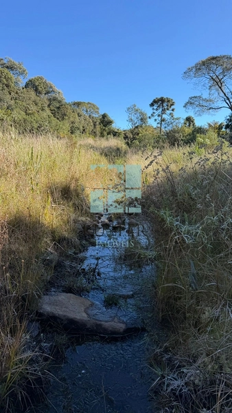 OPORTUNIDADE -TERRENO 2,9 HECTARES: 20ª foto da galeria de imagens do imóvel