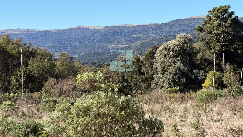 OPORTUNIDADE -TERRENO 2,9 HECTARES: 3ª foto da galeria de imagens do imóvel