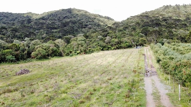 Terreno de Altitude: 2ª foto da galeria de imagens do imóvel