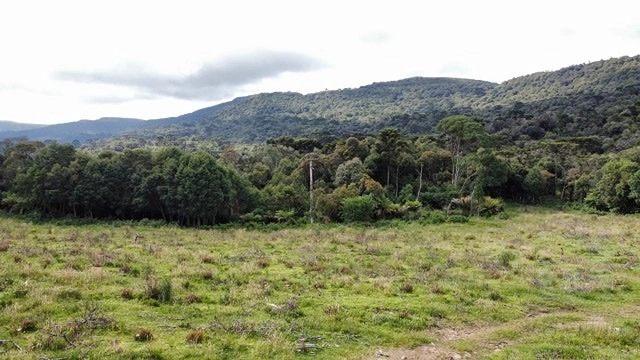 Terreno de Altitude: 7ª foto da galeria de imagens do imóvel