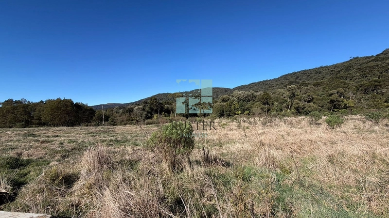 OPORTUNIDADE -TERRENO 2,9 HECTARES: 16ª foto da galeria de imagens do imóvel
