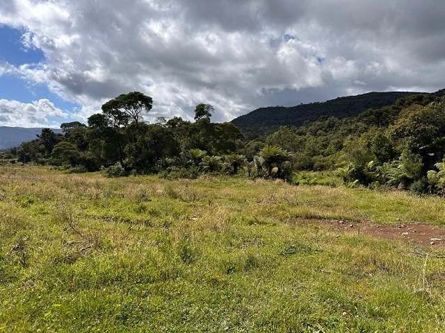 Terreno de Altitude: 11ª foto da galeria de imagens do imóvel
