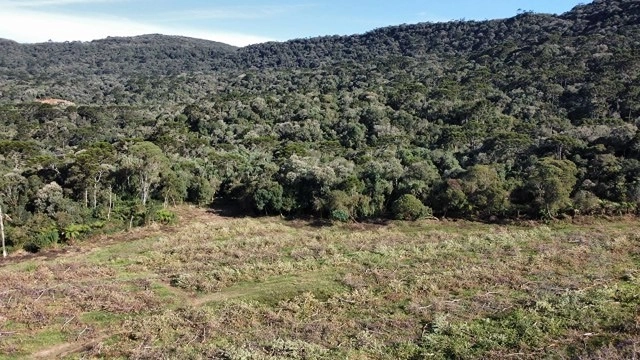 Terreno de Altitude: 8ª foto da galeria de imagens do imóvel