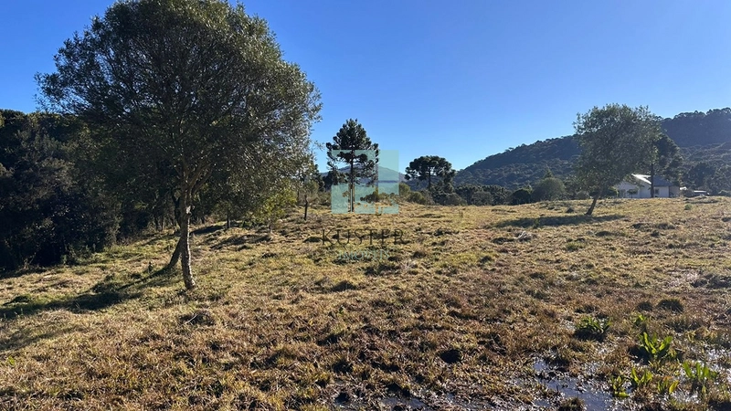 Terreno com Rio: 10ª foto da galeria de imagens do imóvel