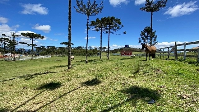 null: 9ª foto da galeria de imagens do imóvel