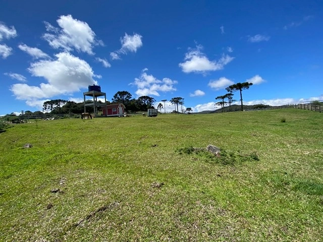 null: 10ª foto da galeria de imagens do imóvel