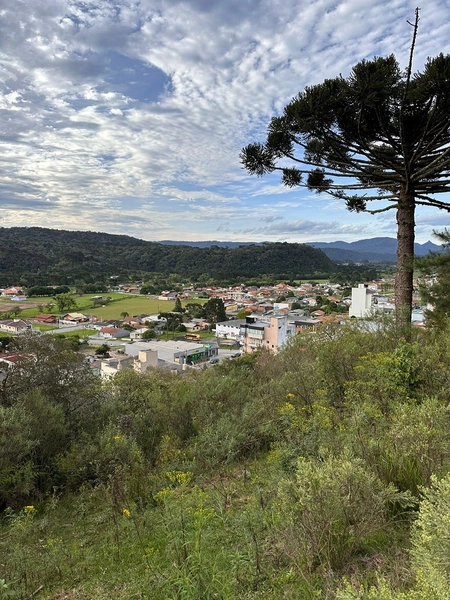 null: 7ª foto da galeria de imagens do imóvel