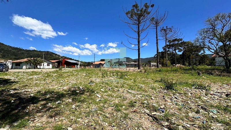 Lote 1500m² : 7ª foto da galeria de imagens do imóvel