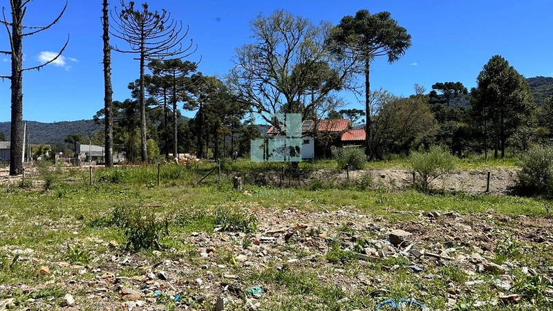 Lote 1500m² : 8ª foto da galeria de imagens do imóvel