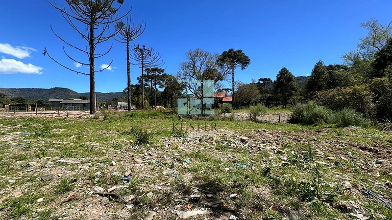 Lote 1500m² : 4ª foto da galeria de imagens do imóvel